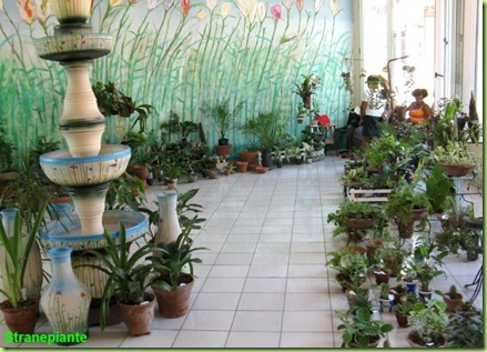 interno floreria yarima santiago cuba interno floreria yarima santiago cuba