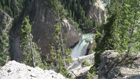IMG_4100.jpg