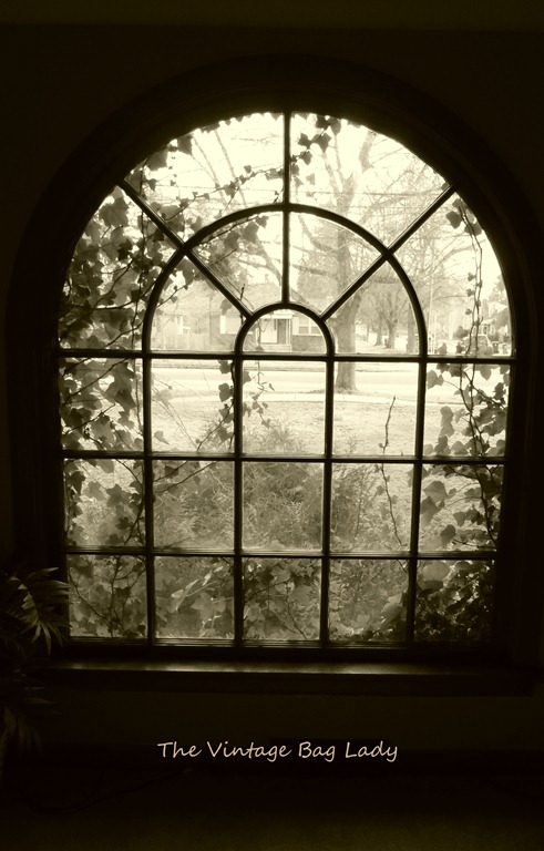 [new-camera-0135.jpg]