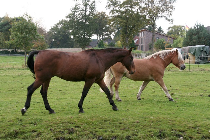 [IMG_2156%255B2%255D.jpg]
