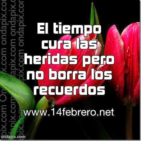 frases amor 14febrero-net (5) frases amor 14febrero-net (5)