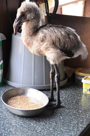 [DSC_0395%255B10%255D.jpg]