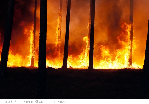 'Forest fire' photo (c) 2006, Ervins Strauhmanis - license: http://creativecommons.org/licenses/by/2.0/