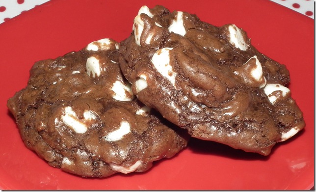 Cookie Carnival--Double Chocolate Cookies 7-25-11