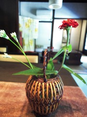 DSC00315 DSC00315