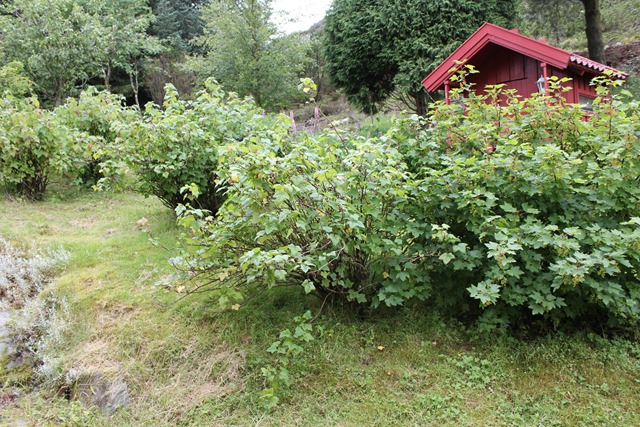 IMG_2316 IMG_2316