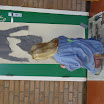 DSC00130.JPG
