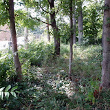 2011 Thomas Gleaves Cemetery cleaning