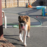 DSCN2523.jpg