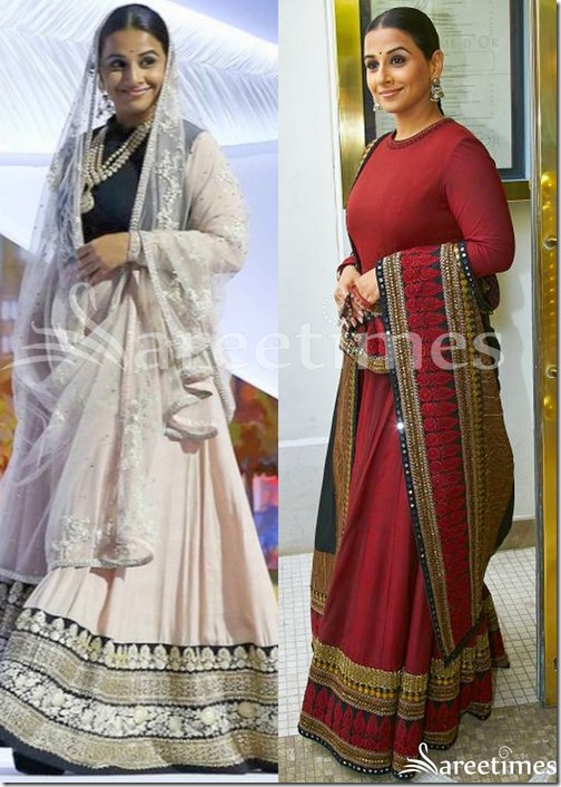 Indian_Traditions_at_Cannes_2013(3)