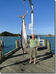 190 kg Stribet Marlin