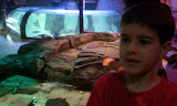 2011-11-07 11.09.31.jpg