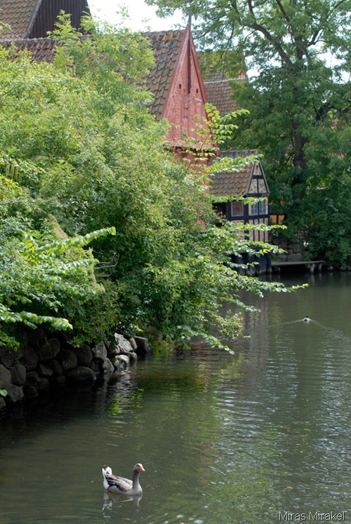 _DSC0627gb _DSC0627gb