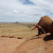 DSCF0683.JPG