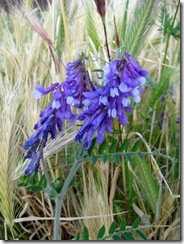 IMG_0039 IMG_0039