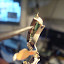 DSC05989.JPG