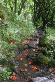 DSC_1027.jpg