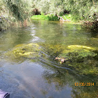 IMG_5369_P1.jpg