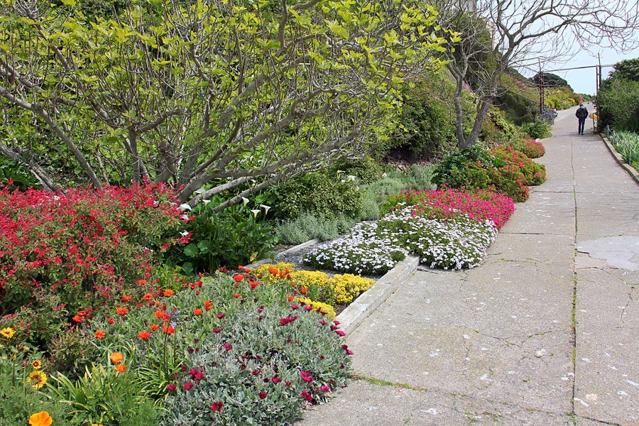[120408_Alcatraz_3042.jpg]