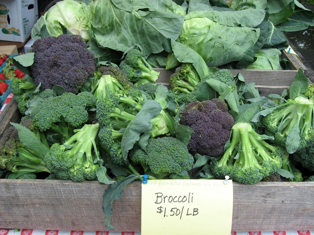 [broccoli%2520mead%255B4%255D.jpg]