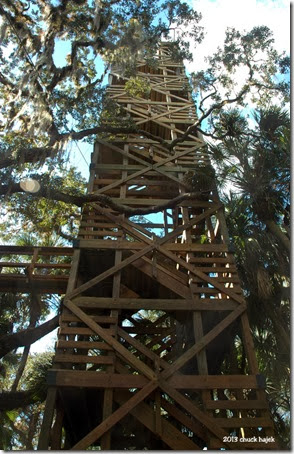 Myakka tower 145