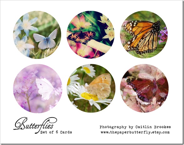 BUTTERFLY CARD BOX ONE BUTTERFLY CARD BOX ONE