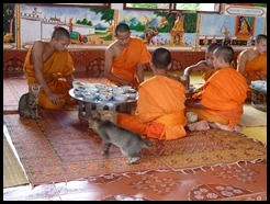 Laos, Vang Vieng, Kang Wat, 9 August 2012 (10)