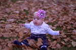 IMGP3614.jpg