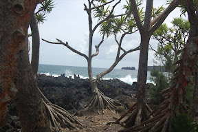 DSC_0922.JPG