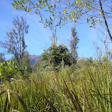 Near the start of the trail to Gunung Raung (Daniel Quinn, July 2011)