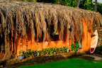 Surf House El Zonte - camera