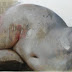 Object: 20335 - Courtes - 60 x 120 cm - € 2975,=