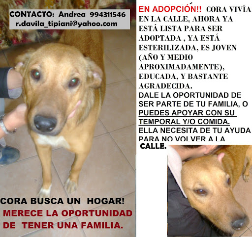 CORA NUEVO.jpg