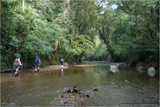 Introducing Kalimantan Island - Visit Pulau Kalimantan image