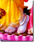[Krishna's lotus feet]