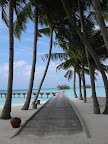 Lankanfushi- The Resort Island - 227.jpg