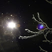 IMG_9425.JPG