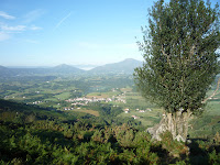 P1010663.JPG