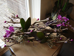 DSC01895.JPG