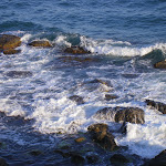 МЕГАНОМ 2007 042.jpg