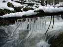 PA220085.JPG