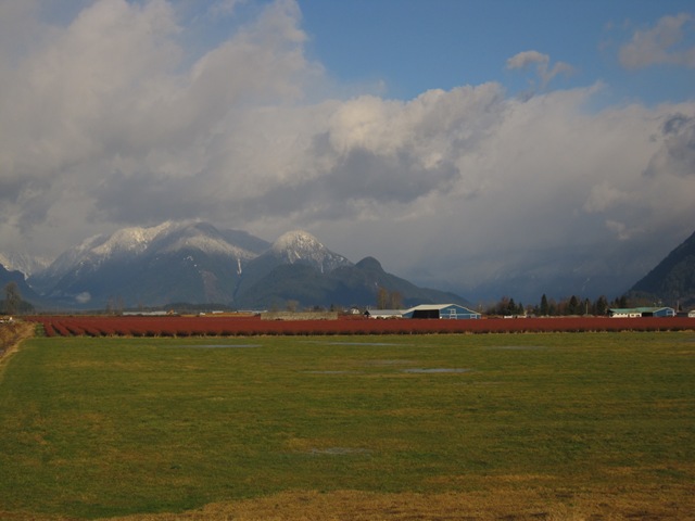 [IMG_6873%255B3%255D.jpg]