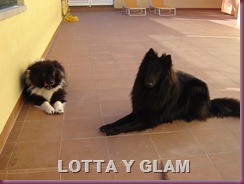 lotta y glam 003 lotta y glam 003