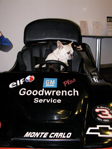 On second thought, I better keep them open while driving a high-performance race car!!