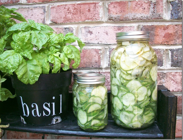 Pickles in Half Gallon Jar 014