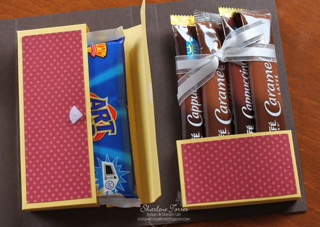 [PMS%2520box%2520right%2520side%2520open%255B6%255D.jpg]