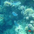 DSC00140.JPG