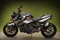 BMW-Vilner-F800-R-Predator-19