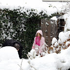 DSC_3446.JPG