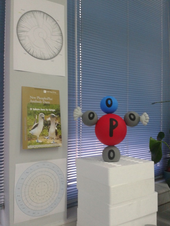 [2012-08-31%252009.13.53%255B4%255D.jpg]